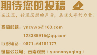 投稿
